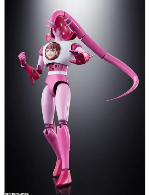 Bandai Soul of Chogokin GX-108 Rhine X1 & Dianan A