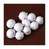 Ensky The Boy and the Heron Nosechara Warawara figures 10-Pack