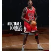 Enterbay Real Masterpiece Figure NBA Collection Michael Jordan "I'm Back" Limited Edition