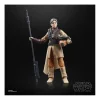 Hasbro Star Wars The Black Series Princess Leia Organa Boushh