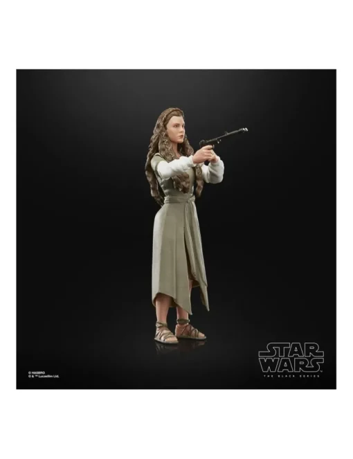 Hasbro Star Wars The Black Series Princess Leia Organa Ewok Village