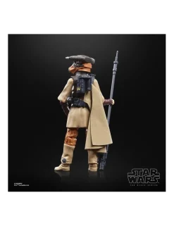 Hasbro Star Wars The Black Series Princess Leia Organa Boushh