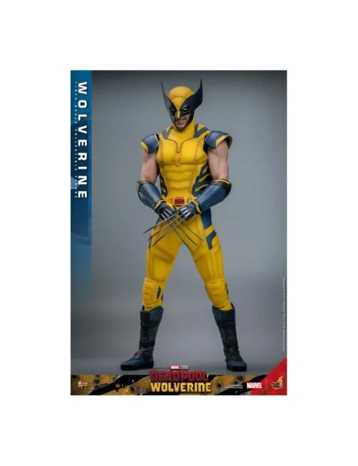 Hot Toys Movie Masterpiece Deadpool & Wolverine Wolverine 1/6 Scale Collectible Figure