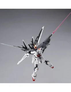 P-Bandai Master Grade MG 1/100 Mobile Suit Gundam Ex Impulse